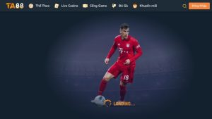 Giới thiệu sảnh cược cá cược thể thao TA88