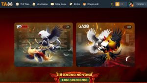 Khám phá các sảnh đá gà trực tiếp GA88 hấp dẫn nhất